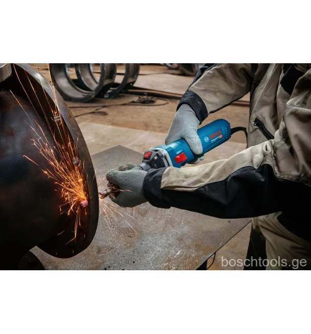 GGS 30 LS Professional