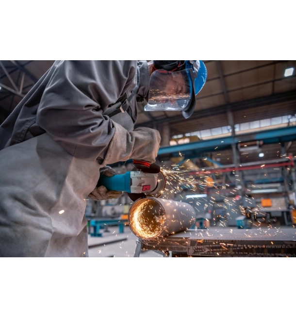 GWS 12-125 P Professional