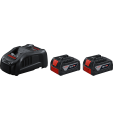 2 x GBA 18V 5.0Ah + GAL 1880 CV Professional