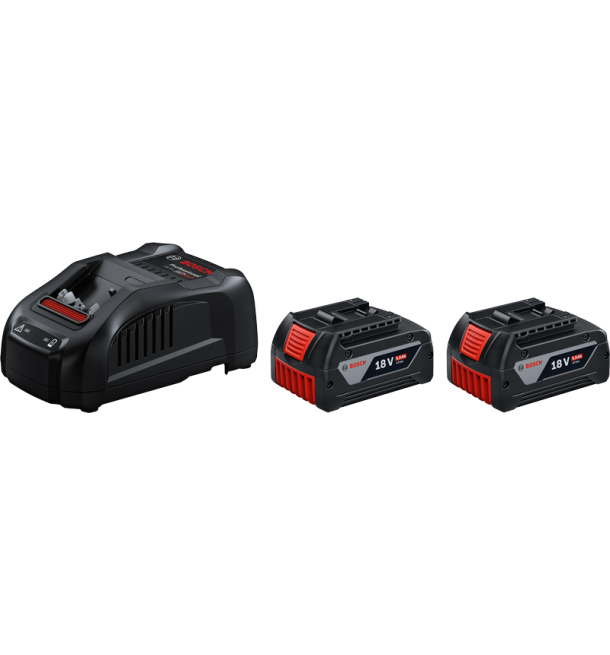 2 x GBA 18V 5.0Ah + GAL 1880 CV Professional
