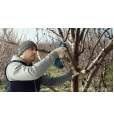 PRO PRUNER PROFESSIONAL